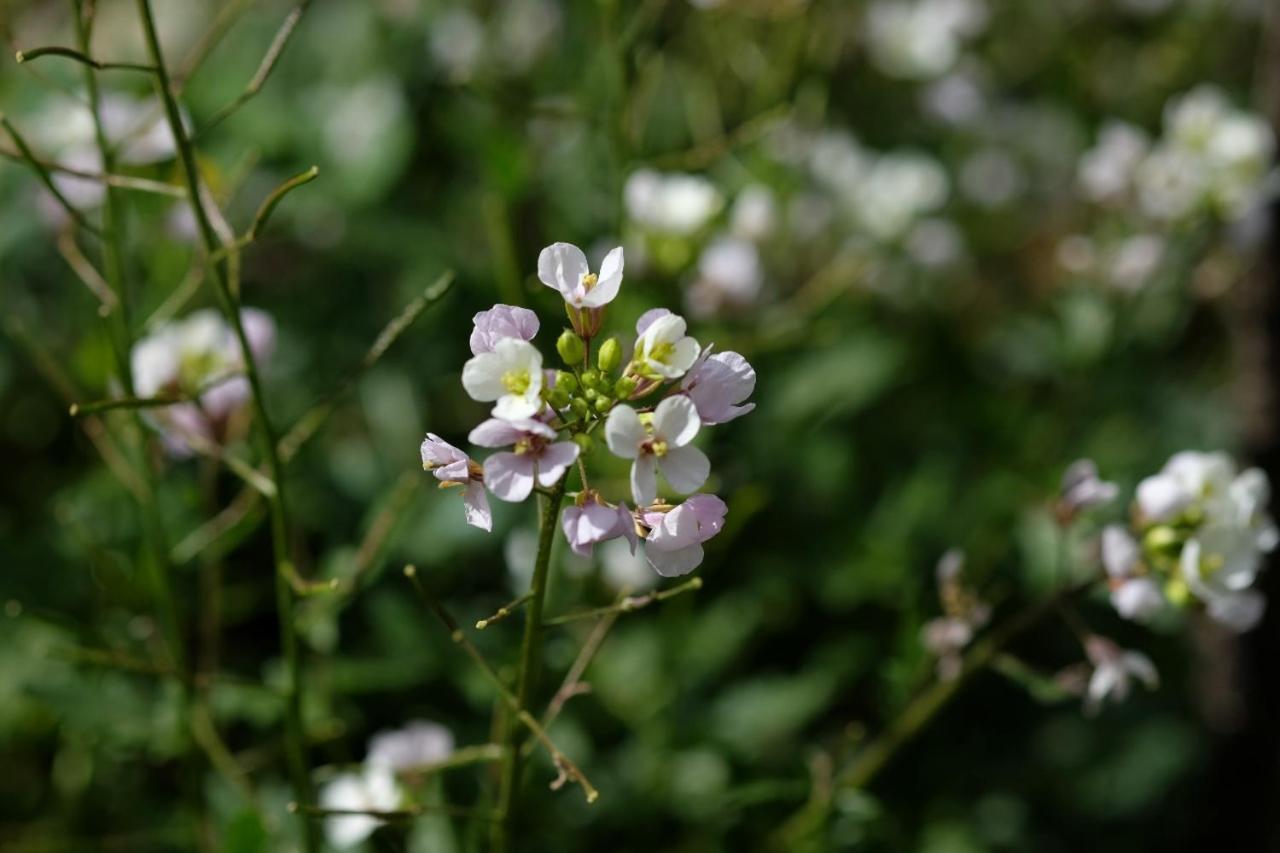 Apiflore Garéoult 외부 사진